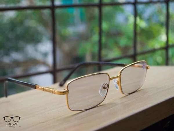 Kính lão đổi màu Nhật Bản Chamant - Ảnh 8