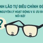 kinh-lao-tu-dieu-chinh-do